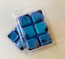 Load image into Gallery viewer, OLD STYLE - Luxe Wax Melts in Honolulu Sun