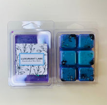 Load image into Gallery viewer, OLD STYLE - Luxe Wax Melts in Honolulu Sun
